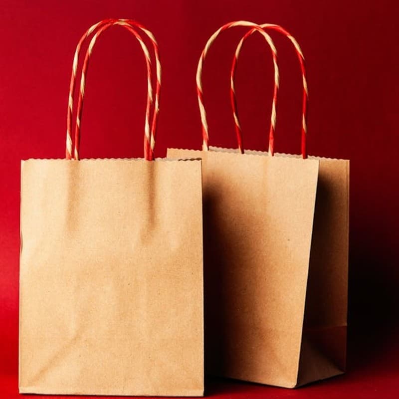 Paper Bags original photo